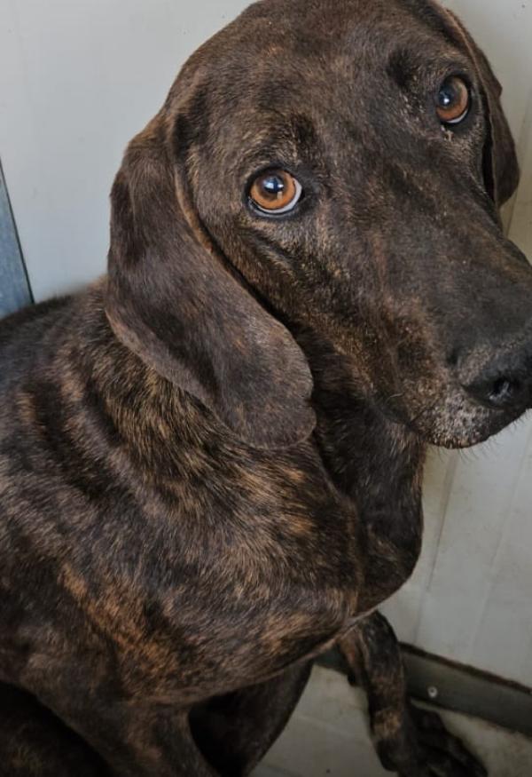 Michele splendida anima bisognosa cerca famiglia  Foto 2