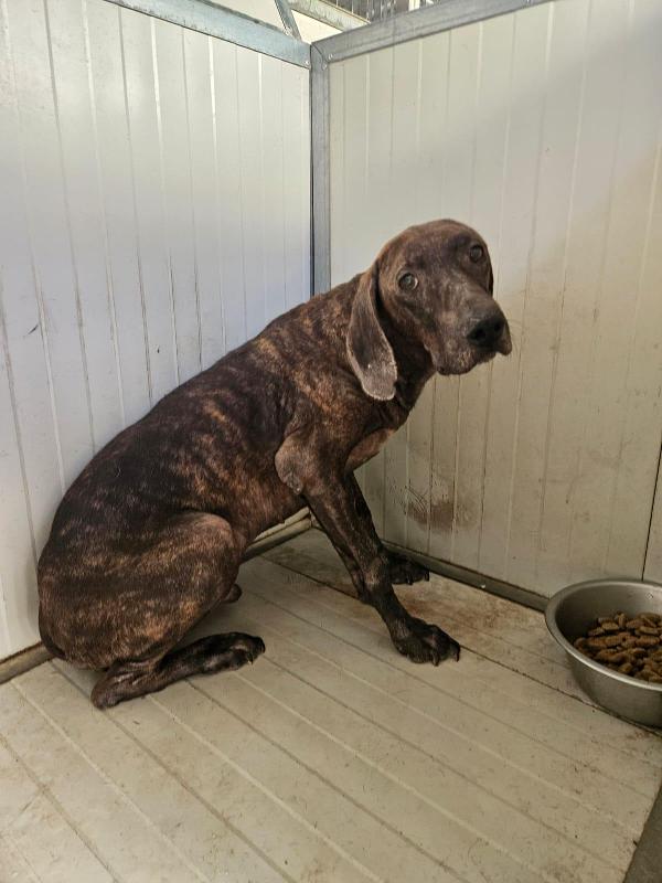 Michele splendida anima bisognosa cerca famiglia  Foto 3