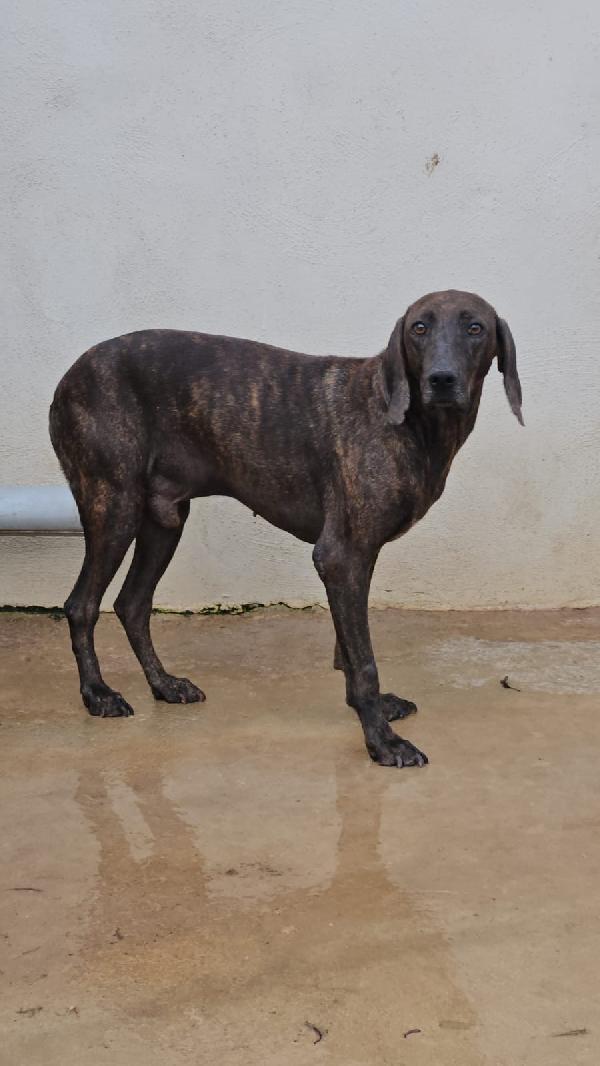 Michele splendida anima bisognosa cerca famiglia  Foto 4