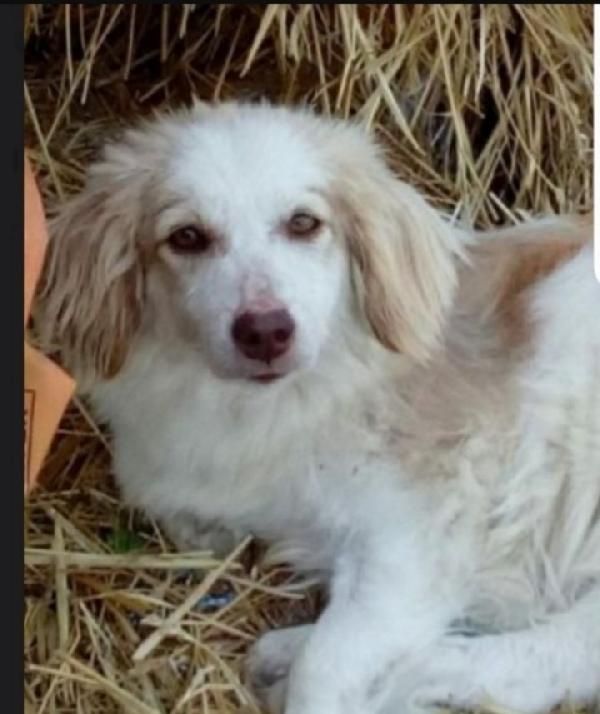 Lula 4Anni Kg9 Paralizzata Ma Autonoma Nei Bisogni..