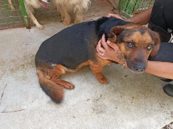 Lolo buono e coccolone Foto 2