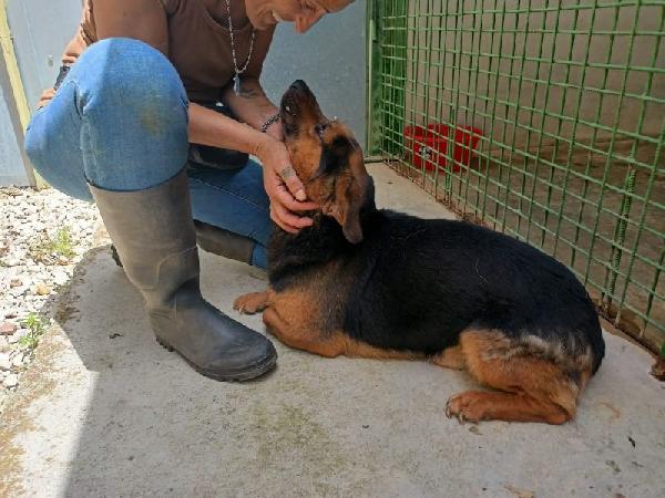 Lolo Buono E Coccolone