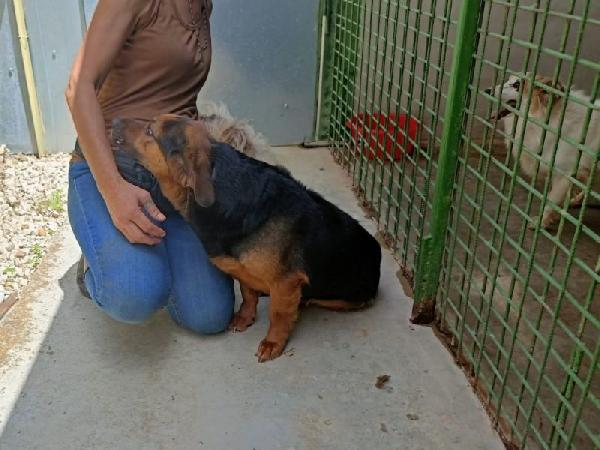 Lolo buono e coccolone Foto 3