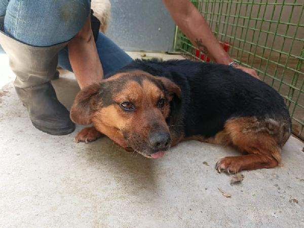 Lolo buono e coccolone Foto 4