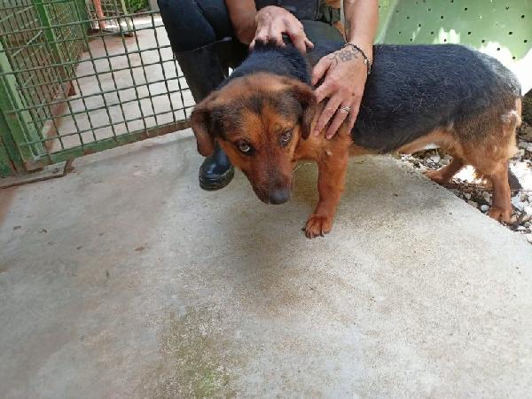 Lolo buono e coccolone Foto 5