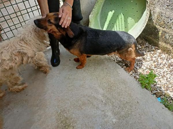 Lolo buono e coccolone Foto 7