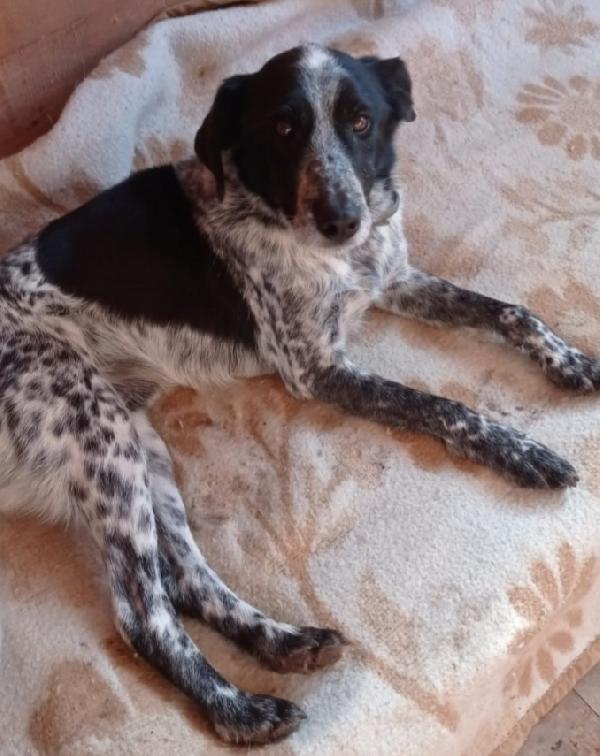 Bons 12Anni Dolcissimo E Sfortunato.viterbo