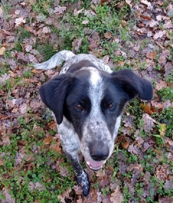 Bons 12anni dolcissimo e sfortunato.VITERBO Foto 2