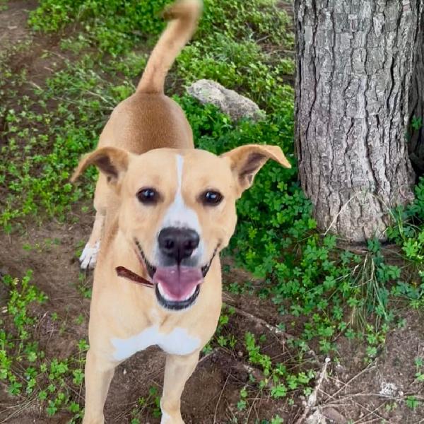 Spillo🩷🐾 Foto 4