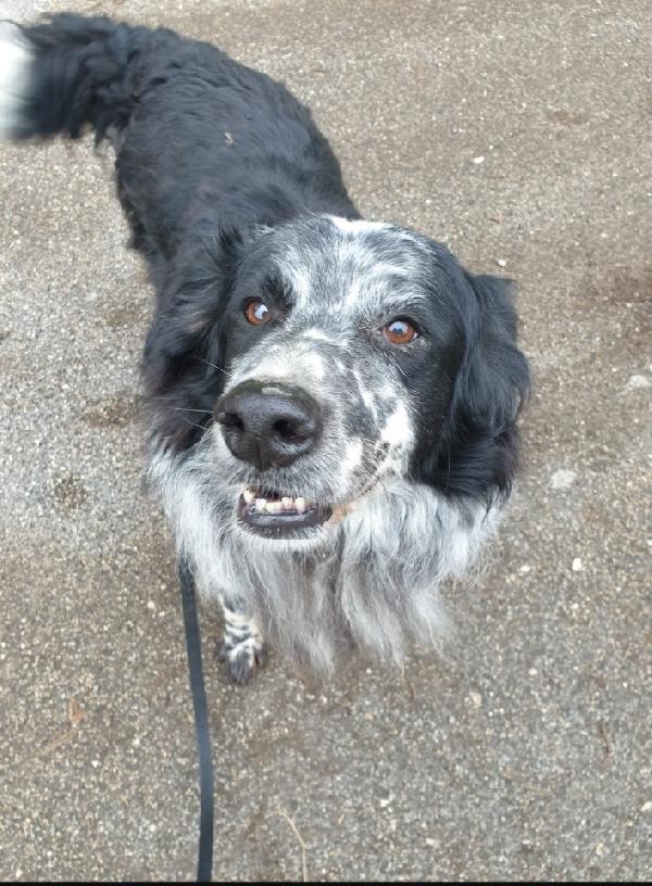 2Fratelli Mix Setter 13Anni 10 Di Lager Sos Roma 