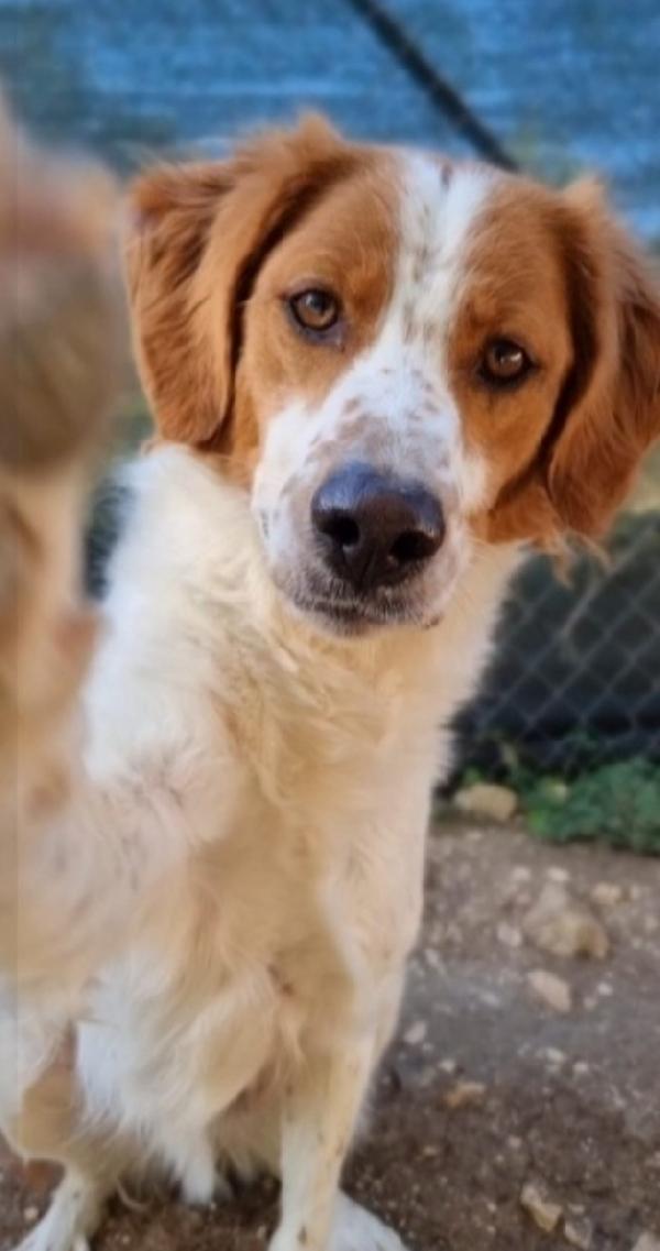 Mix Breton Splendido 3Anni Nessuno Lo Nota