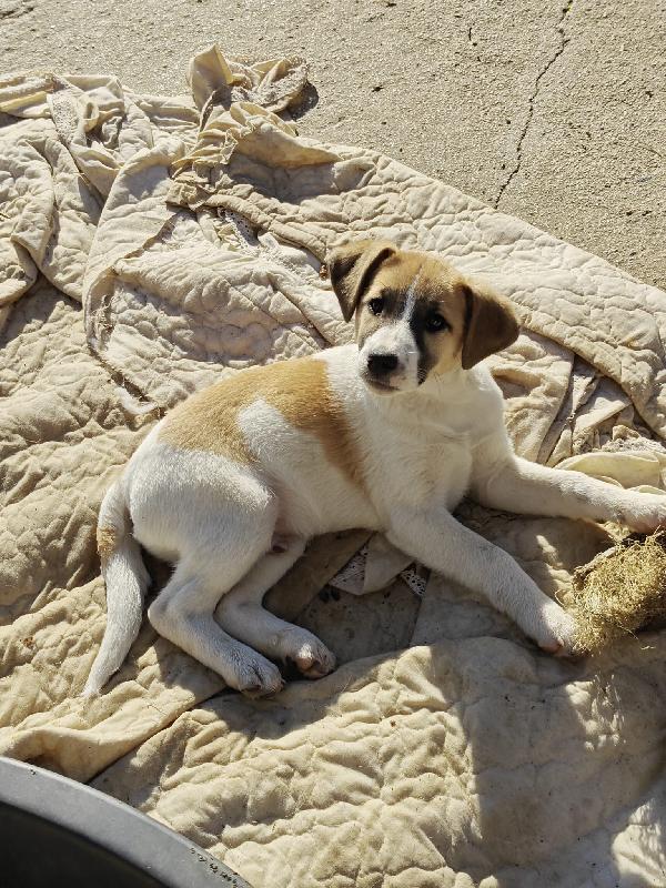 David cerca casa Foto 2