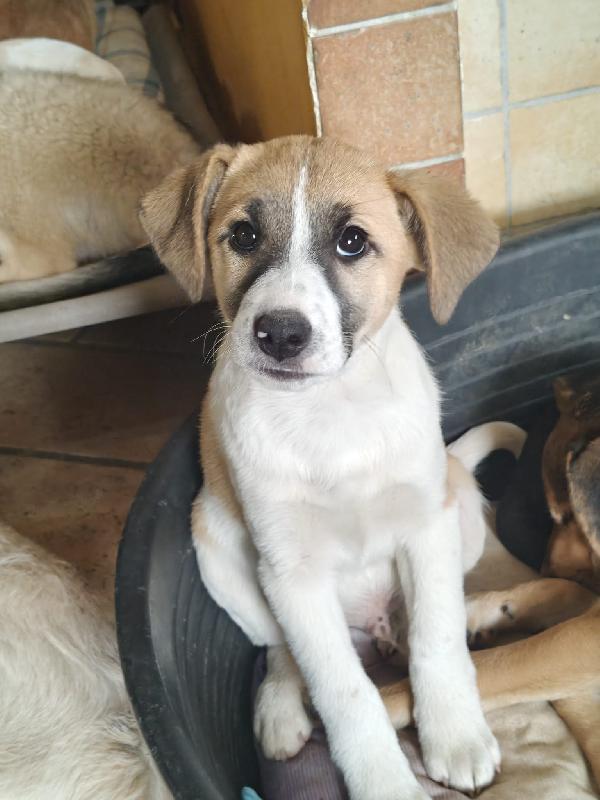 David cerca casa Foto 3