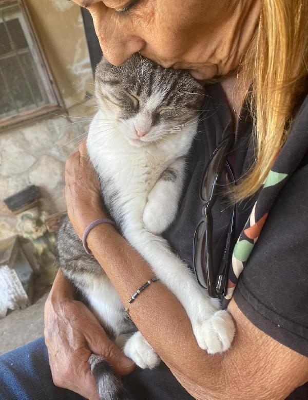 LICIA, tenera micia in adozione! Foto 3