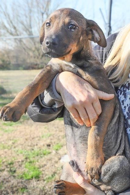 LUCAS E LOSCO Foto 3