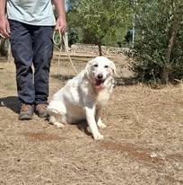 Nonna Olga Cerca Famiglia. Info adozione Monica 3890238584 Foto 2