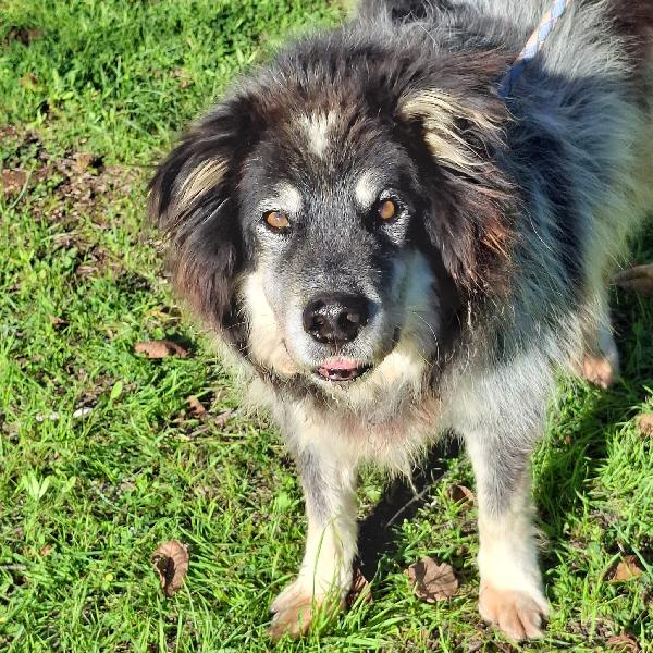 Nonno Nando Cerca Famiglia. Info Monica 3890238584