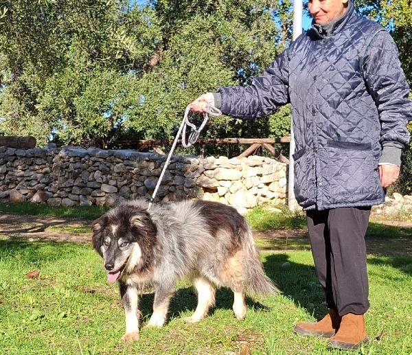 Nonno Nando Cerca Famiglia. Info Monica 3890238584 Foto 2