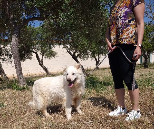 Nonna Penny Cerca Famiglia. Info Monica 3890238584 Foto 2