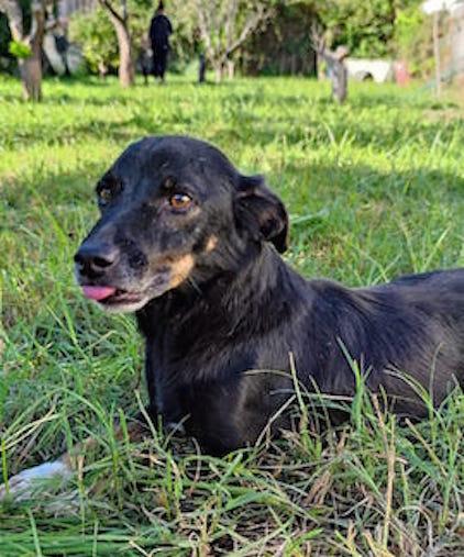 Johns dolce piccoletto Foto 6