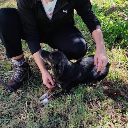 Johns dolce piccoletto Foto 11