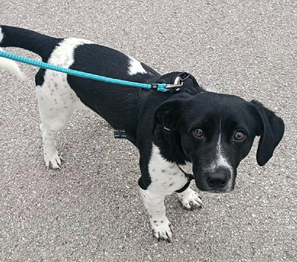 Galileo 1 Anno Taglia Piccola 