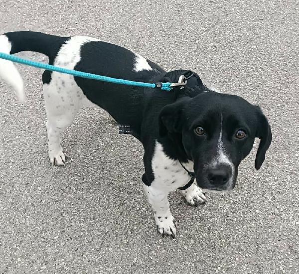 Galileo 1 anno taglia piccola  Foto 5