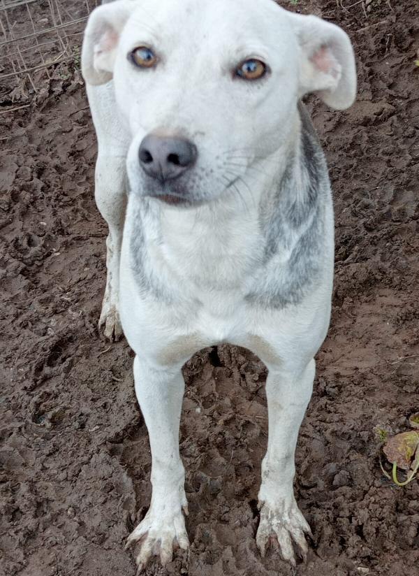 Aria Aspetta Una Mamma 