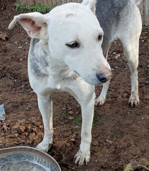 ARIA ASPETTA UNA MAMMA  Foto 2