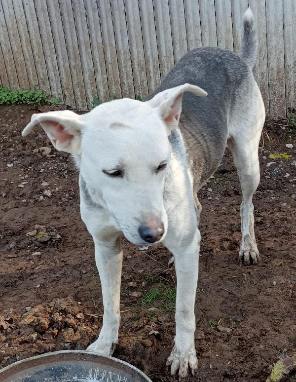 ARIA ASPETTA UNA MAMMA  Foto 3