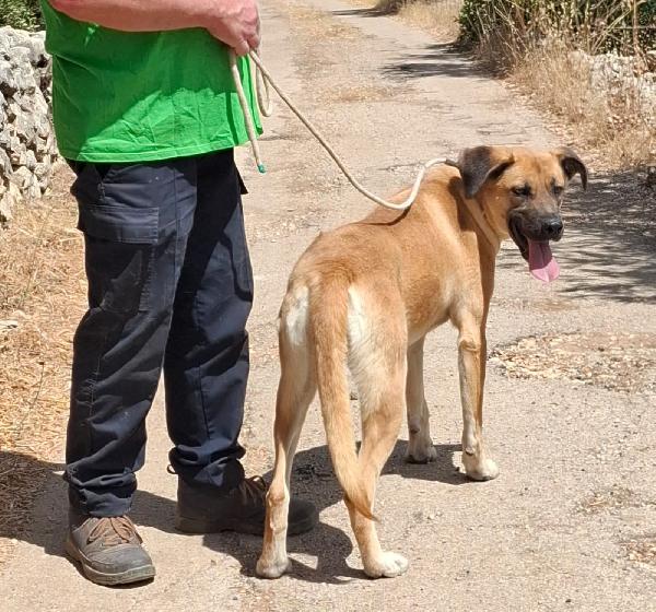 Mara Cerca Famiglia. Info Monica 3890238584 Foto 2