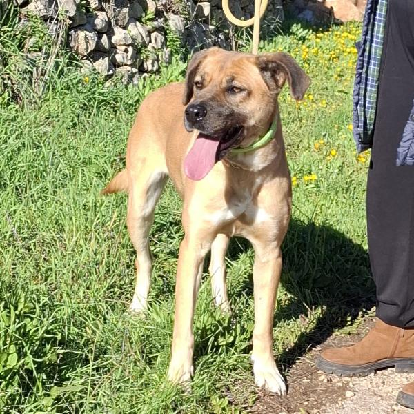 Mara Cerca Famiglia. Info Monica 3890238584 Foto 3