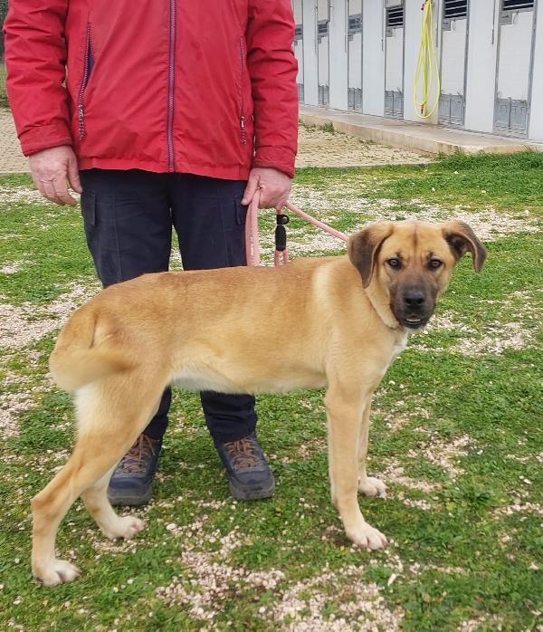 Mara Cerca Famiglia. Info Monica 3890238584 Foto 5