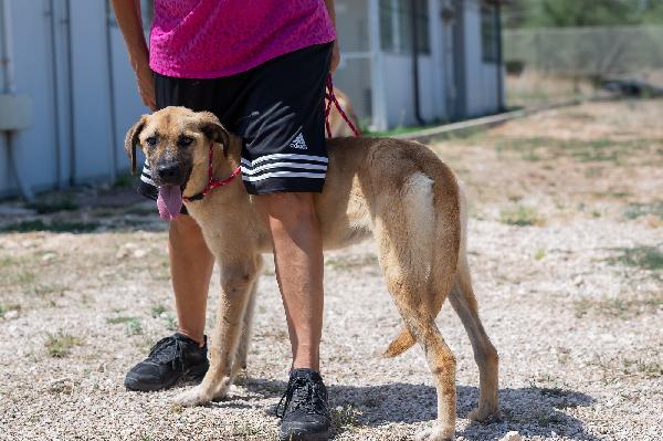 Mara Cerca Famiglia. Info Monica 3890238584 Foto 7