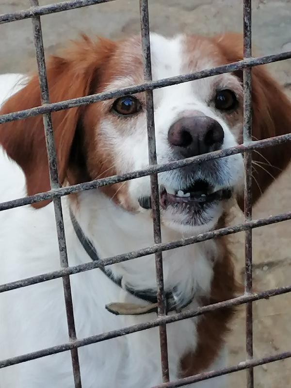 GIOTTO, Breton di 9 anni rimasto solo Foto 2