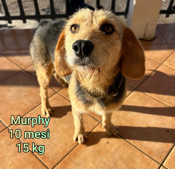 Piccolini Entro I 15 Kg