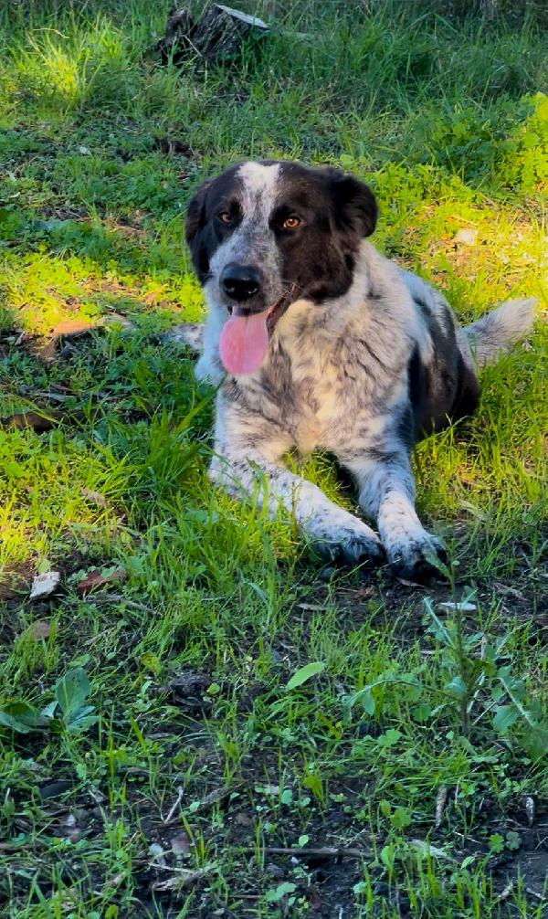 Serena🏠🌹🩷 Foto 5