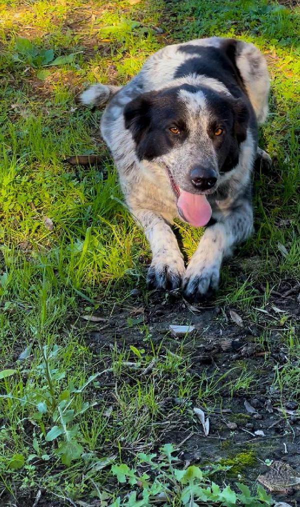 Serena🏠🌹🩷 Foto 6