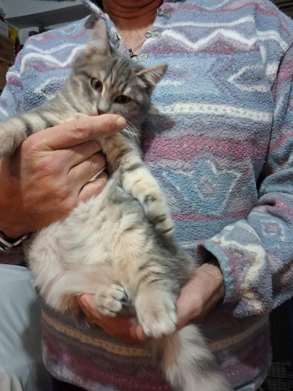 Perla e Priscilla  Foto 2