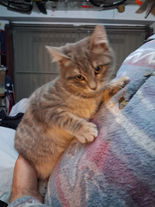 Perla e Priscilla  Foto 3