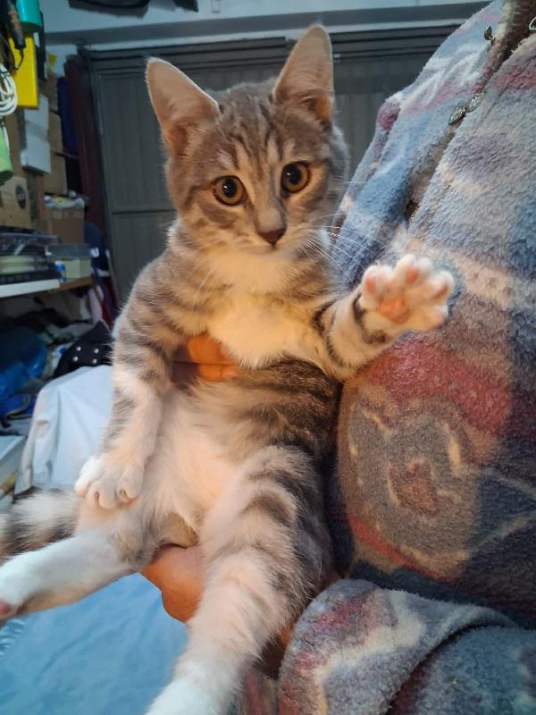 Perla e Priscilla  Foto 4