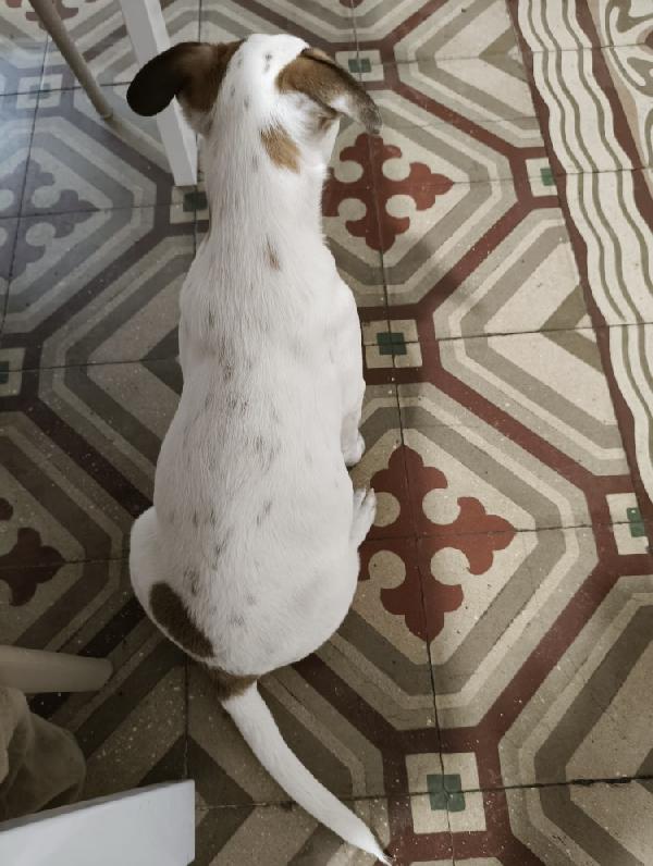 Lulu’ splendida Foto 2