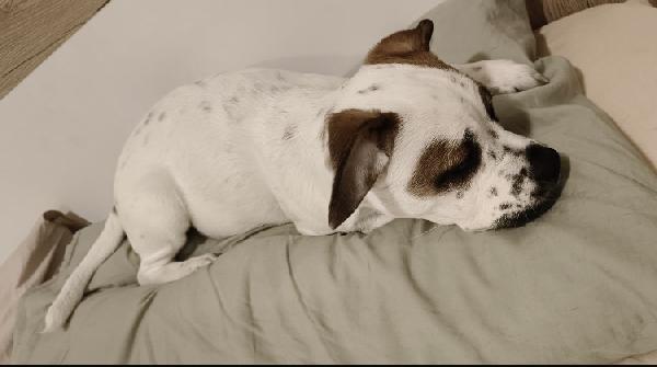 Lulu’ splendida Foto 3