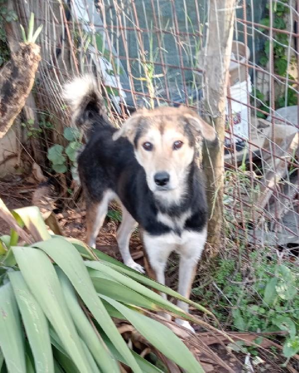 UNA FAMIGLIA PER LINA Foto 2