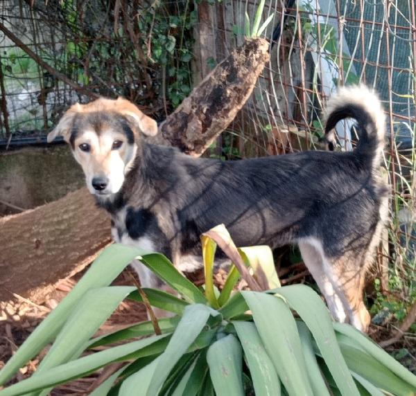 UNA FAMIGLIA PER LINA Foto 3