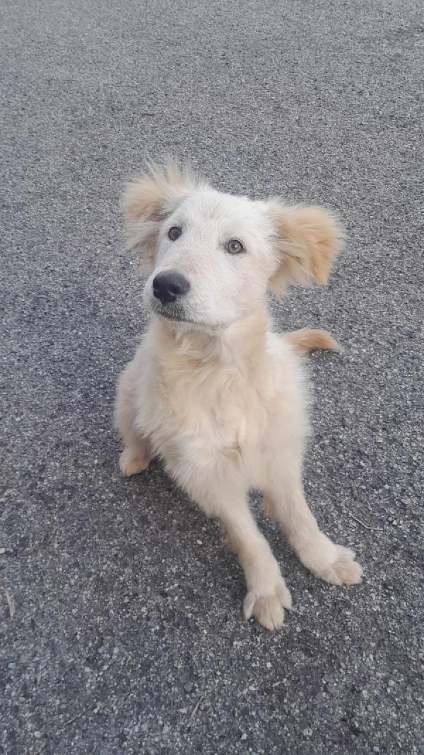 UNA MAMMA PER AKY Foto 2