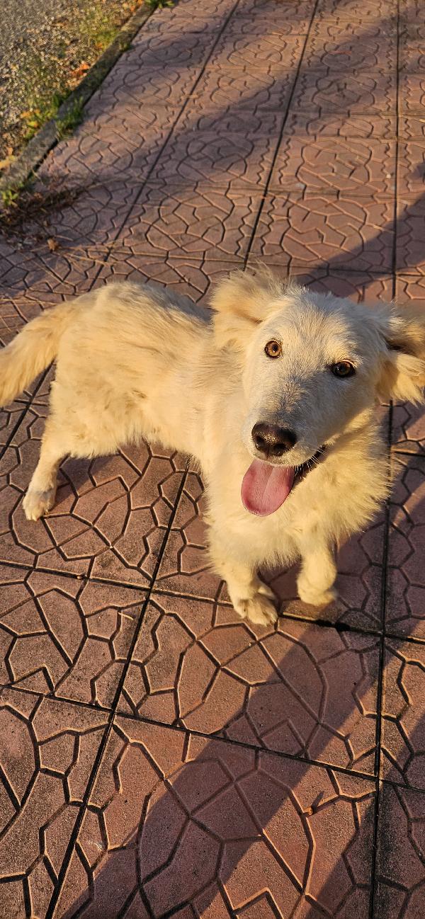 UNA MAMMA PER AKY Foto 3