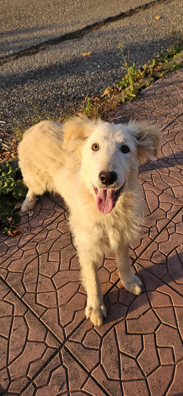 UNA MAMMA PER AKY Foto 4