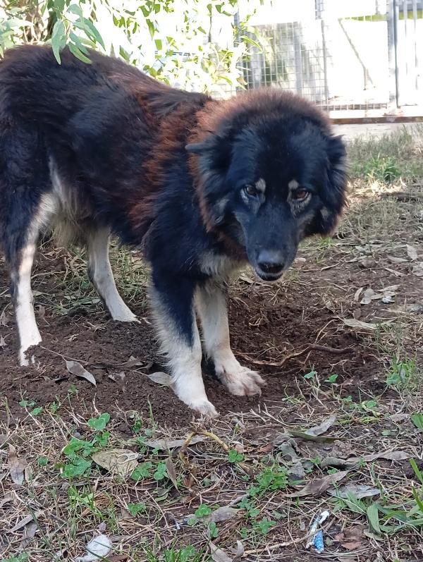 Nadia, Taglia Media! 