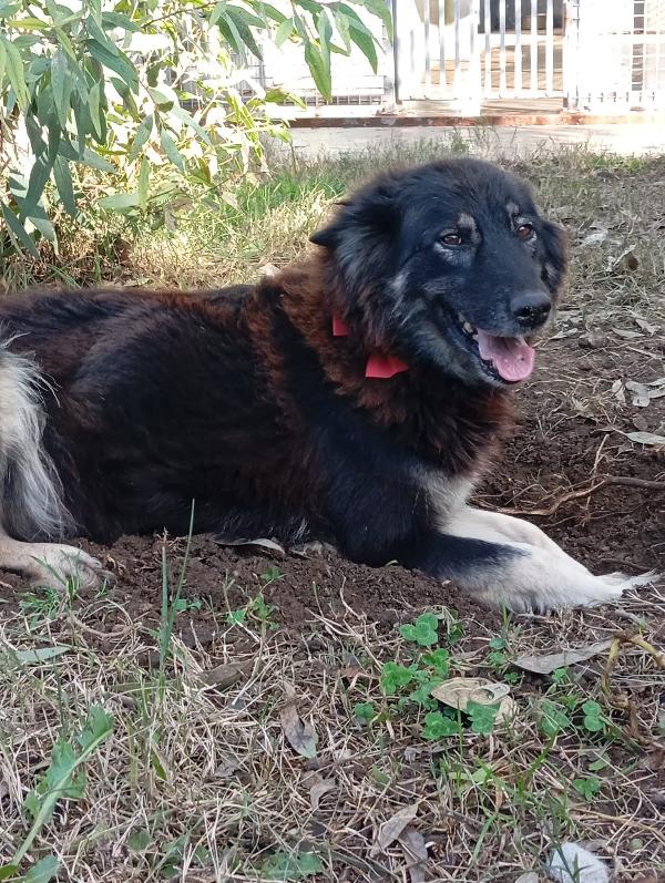 Nadia, taglia media!  Foto 2